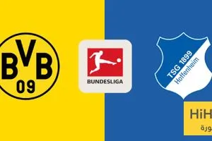 تاريخ مواجهات بوروسيا دورتموند وهوفنهايم في الدوري الألماني