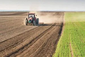 العراق يتصدر إنتاج الشعير في المنطقة العربية شفق نيوز