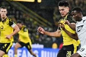 الشوط الأول تقييم لاعبي بوروسيا دورتموند ضد هوفنهايم