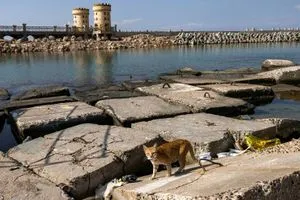 العثور على حطام سفينة قديمة قبالة الإسكندرية