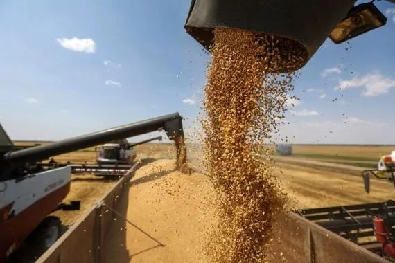 إيران تستورد أكثر من مليون طن من القمح خلال 7 أشهر