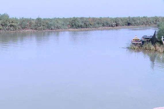 الموارد ارتفاع المعدلات المطرية يعزز واردات الفرات والغراف وينعش الأهوار وكالة الانباء العراقية واع