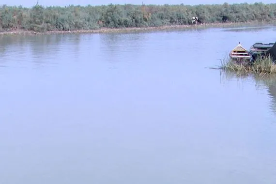 ارتفاع المعدلات المطرية يعزز واردات الفرات والغراف وينعش الأهوار في ذي قار