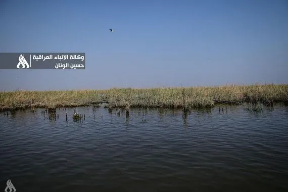 مركز إنعاش الأهوار المناسيب ارتفعت تدريجياً وتصريف المياه يتم وفق المسارات الطبيعية وكالة الانباء العراقية واع