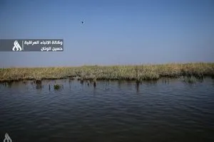 مركز إنعاش الأهوار المناسيب ارتفعت تدريجياً وتصريف المياه يتم وفق المسارات الطبيعية وكالة الانباء العراقية واع