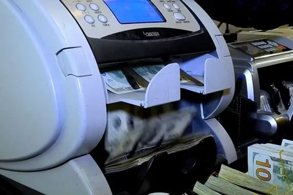 البياتي يستبعد تغيير سعر صرف الدولار لمعالجة الأزمة المالية في العراق