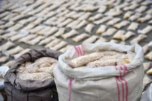 العراق يفكك شبكة دولية لتجارة المخدرات ويعتقل 17 عنصرا في صفوفها