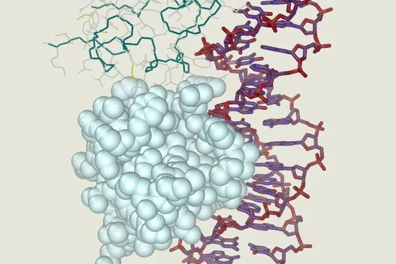 دراسة بروتين حيوي وراء ظهور حالات مرضية غامضة
