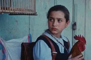 بينها العراقي كعكة الريس 4 أفلام عربية مرشحة لجائزة الأوسكار شفق نيوز