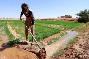 تأجيل اطلاق الخطة الزراعية في الانبار بسبب السياسات التركية