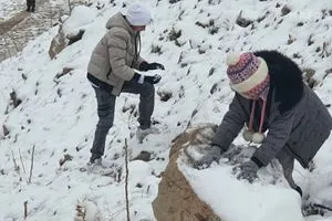 السليمانية ترتدي الأبيض الثلوج تحوّل سفوح أزمر إلى مقصد سياحي شفق نيوز