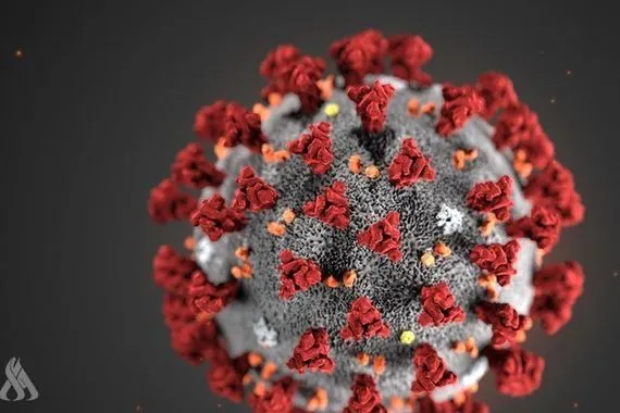 الصحة العالمية تحذر من فيروس جديد وكالة الانباء العراقية واع