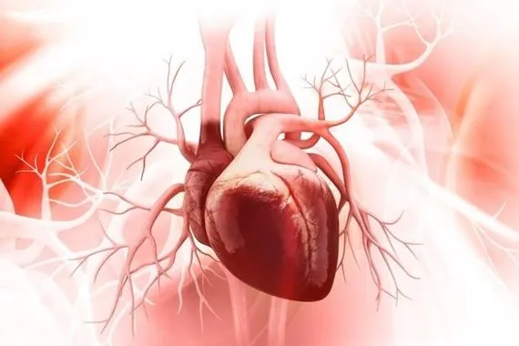 دراسة الطقس البارد يشكل تهديدا للقلب والصحة العامة