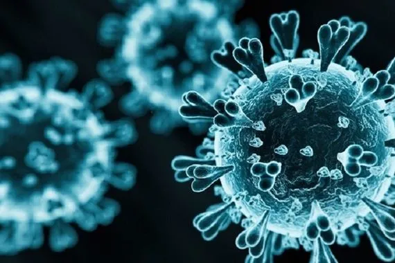 اول رد على تقرير الصحة العالمية حول تفشي فيروس ميرس