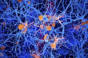 علاج مبتكر للصرع يعيد الذاكرة ويقي من النوبات وكالة الانباء العراقية واع