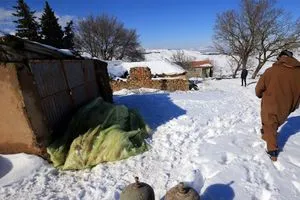 بينها العراق موجة صقيع قارسة تجتاح المنطقة العربية