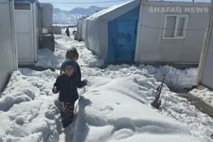 الشتاء الـ11 النازحون في دهوك يواجهون البرد والثلوج بلا نفط صور شفق نيوز