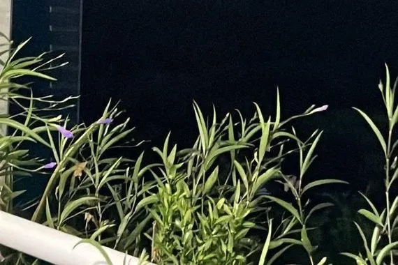 انفجارات تهز العاصمة الفنزويلية