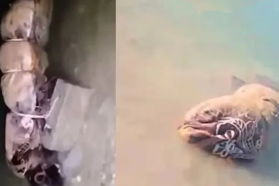 تفاصيل جثة سد الخاصة في كركوك امرأة يلفها غطاء عثر عليها صياد شفق نيوز