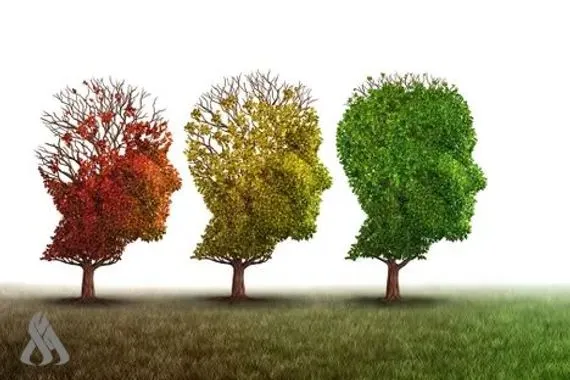 دراسة تظهر المراحل العمرية التي يعيد فيها الدماغ تشغيل نفسه وكالة الانباء العراقية واع