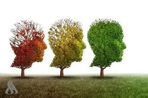 دراسة تظهر المراحل العمرية التي يعيد فيها الدماغ تشغيل نفسه وكالة الانباء العراقية واع