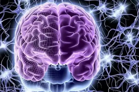 العمر ليس خطاً مستقيماً محطات خفية تعيد تشكيل الدماغ