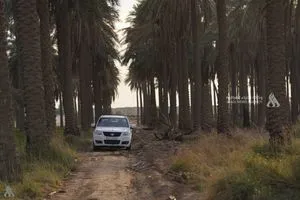 أمانة بغداد المناطق الزراعية مشمولة بخدمات المياه وخطط نصب العدادات النظامية وكالة الانباء العراقية واع