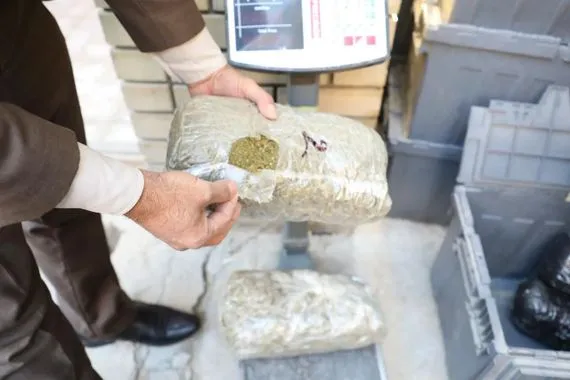 الكمارك تعلن إتلاف كميات كبيرة من المخدرات