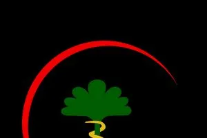 يتعلق بتعيين 9 الاف خريج من كليات الطب خارج العراق الصحة تلاحق مزوّر كتاب