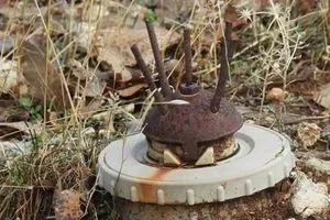 نينوى مقتل راعٍ بانفجار عبوة من مخلفات داعش شفق نيوز