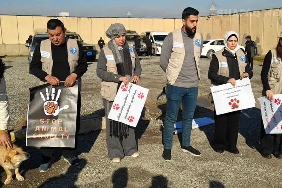 تنديداً بـ إبادة آلاف الكلاب السائبة ناشطون كورد يستنجدون بالأمم المتحدة صور شفق نيوز