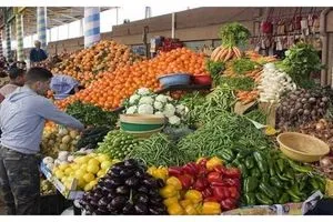 مجلس ديالى المعابر غير الرسمية تتسبب بنصف الأضرار للقطاع الزراعي