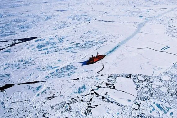 نبوءة جديدة لـ نوستراداموس الحي في عام 2026 هل تتحقق