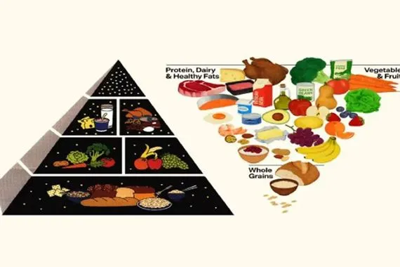 خريطة الطعام العالمية الغذائية تغيرت ما هو الجديد