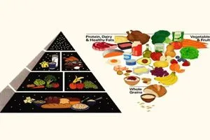 خريطة الطعام العالمية الغذائية تغيرت ما هو الجديد