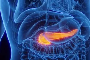 نتعرض لها يوميا مواد تتلف وظائف البنكرياس وتهدد صحتنا