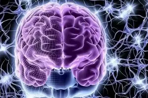 اكتشاف منطقة في الدماغ هي المسؤول الأول عن ضغط الدم