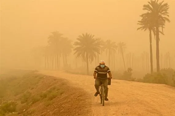 بمياه المبازل العراق يواجه العواصف الترابية بحزام أخضر يمتد لـ5 سنوات