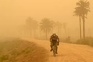 بمياه المبازل العراق يواجه العواصف الترابية بحزام أخضر يمتد لـ5 سنوات