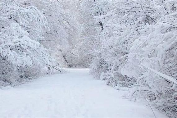 العراق قد يشهد يومًا هو الأشد برودة منذ 2008 الثلوج ستغزو الوسط والغرب