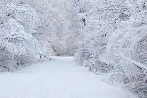 العراق قد يشهد يومًا هو الأشد برودة منذ 2008 الثلوج ستغزو الوسط والغرب