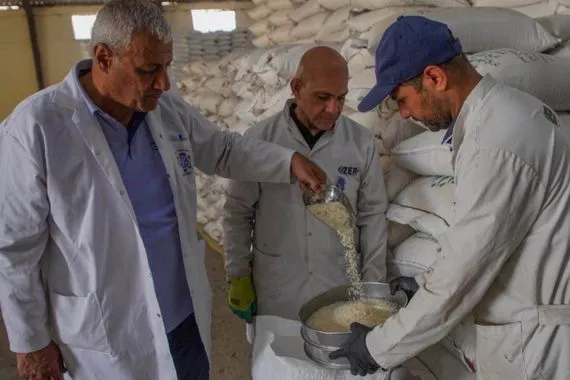 الجهاز المركزي للتقييس يعلن تنفيذ خطة تحول من الرقابة التقليدية إلى الإلكترونية