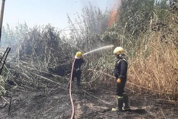 تحقيق حكومي في حريق غامض يلتهم بساتين خانقين