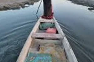 تداعيات شحة الماء على الناصرية