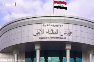 أرقام عن الطلاق والزواج والعنف والابتزاز والمخدرات إليك حصاد القضاء في 2025