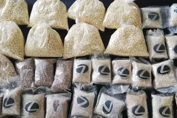 ضبط 29 ألف حبة مخدرة في الأنبار شفق نيوز