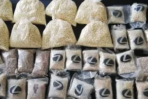 ضبط 29 ألف حبة مخدرة في الأنبار شفق نيوز