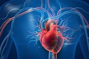 كيف يساعد الشوفان على تحسين صحة القلب