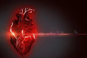 دراسة علمية هذه الفئة هي الأكثر عرضة للإصابة بأمراض القلب