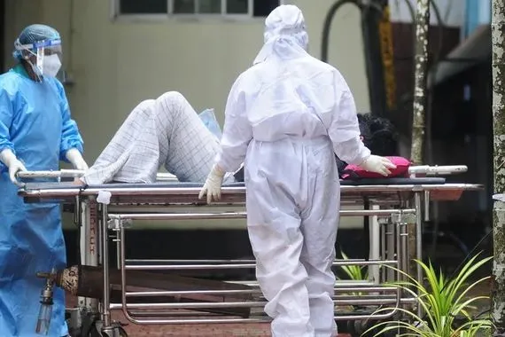 فيروس نيباه يثير القلق هل نحن أمام وباء محتمل